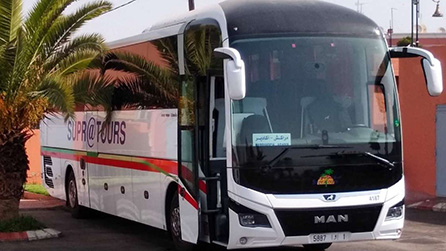 buses in morocco